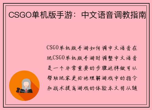 CSGO单机版手游：中文语音调教指南